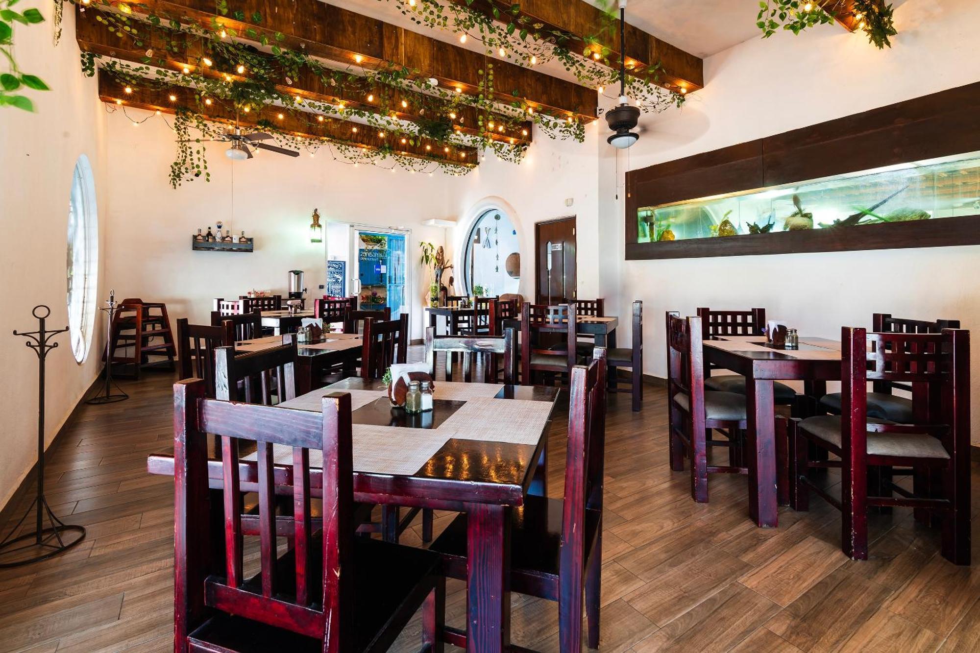 Oyo Posada Del Pescador Cabo San Lucas Exterior photo